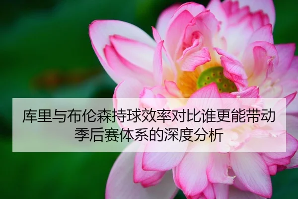 库里与布伦森持球效率对比谁更能带动季后赛体系的深度分析