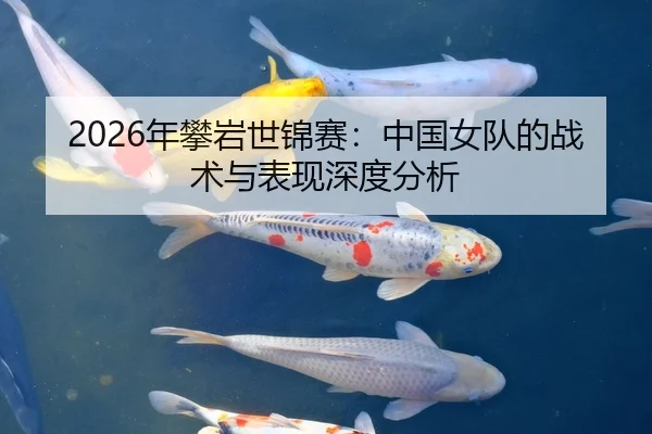 2026年攀岩世锦赛：中国女队的战术与表现深度分析