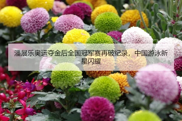 潘展乐奥运夺金后全国冠军赛再破纪录，中国游泳新星闪耀